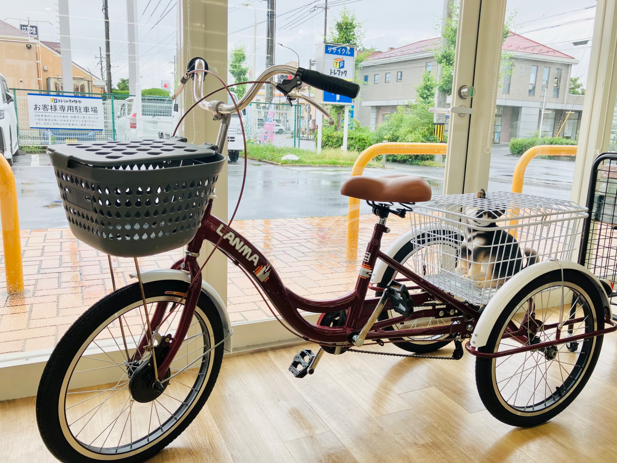 大人用三輪車 専用です！