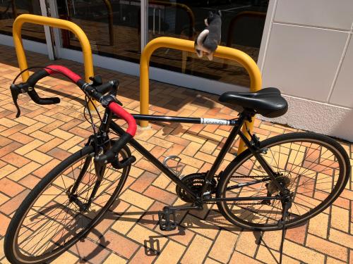 トレファクブログ画像4