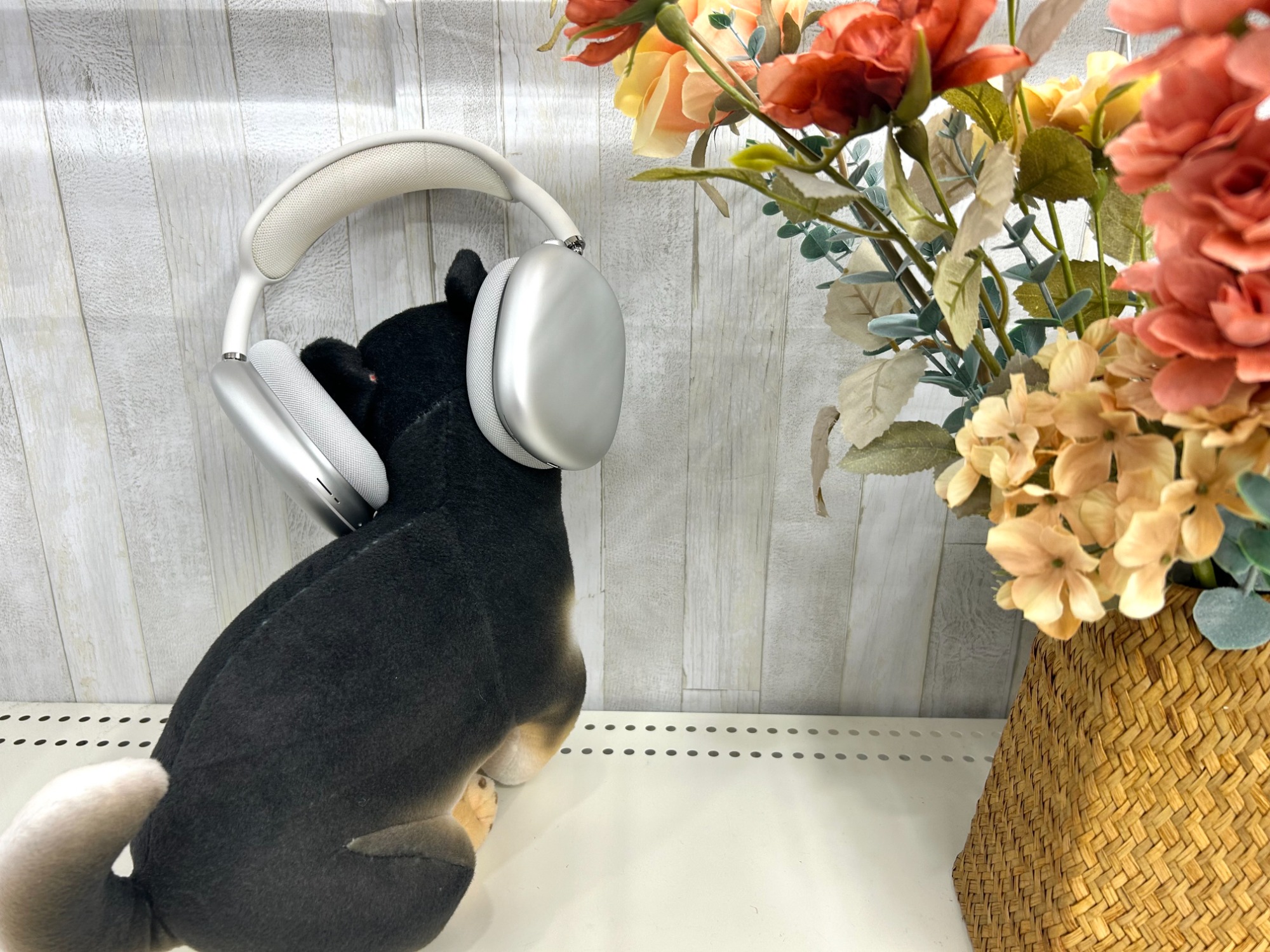 スタイリッシュ！】AppleからAirPods Maxのご紹介です！｜2025年