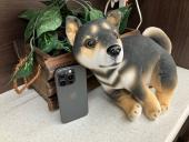 トレファク滋賀草津店ブログ