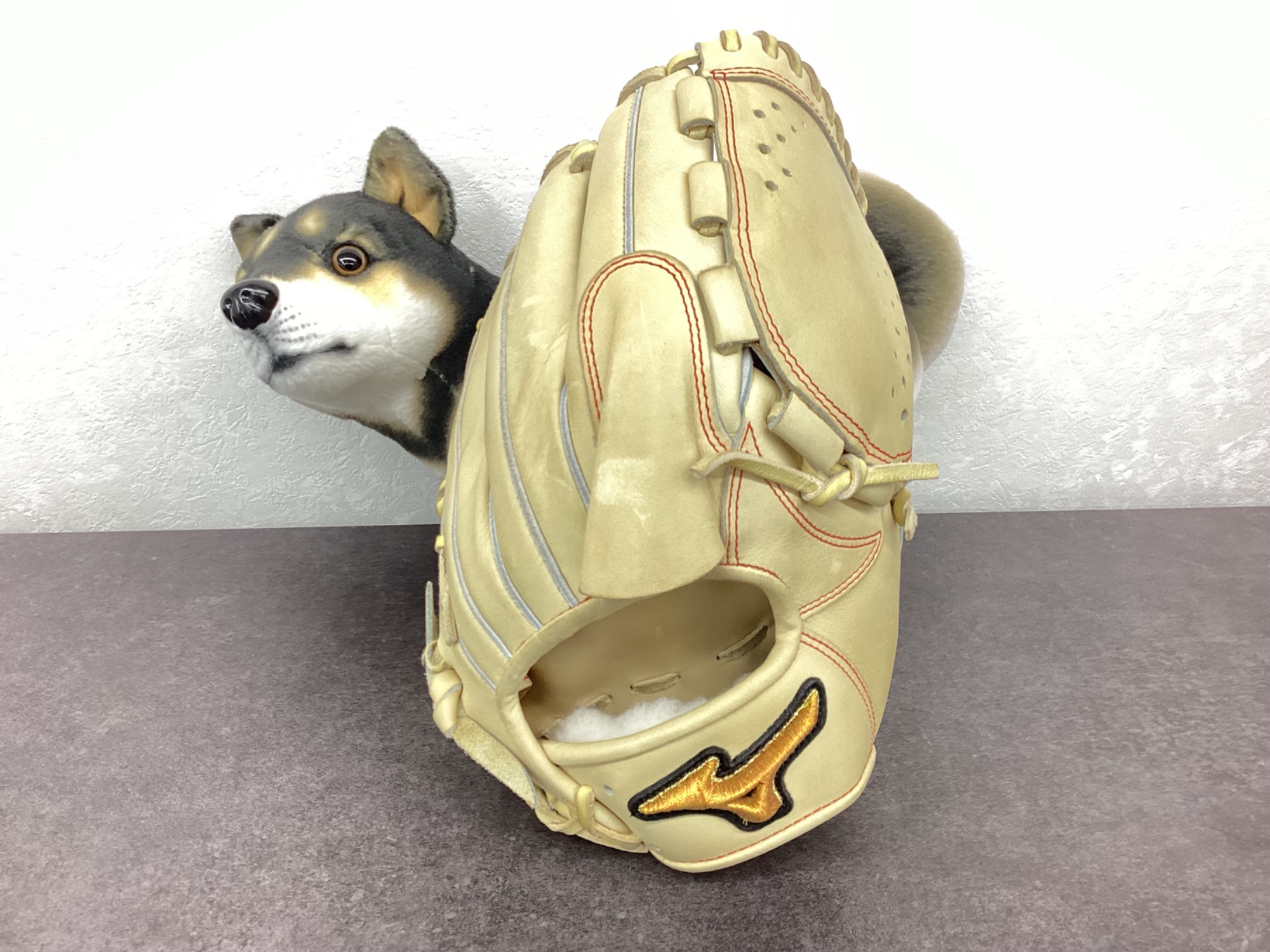 新入荷】伝統と革新が融合した、MIZUNO（ミズノ） MIZUNO PRO CLASSIC