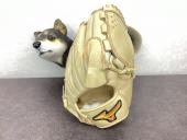 トレファク滋賀草津店ブログ