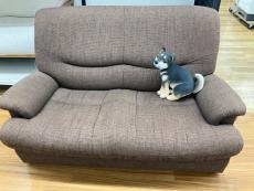 トレファク滋賀草津店ブログ