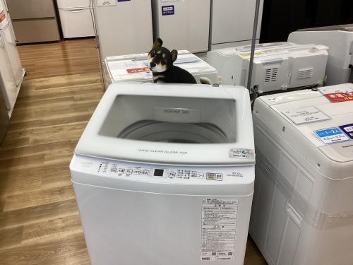 トレファクブログ画像1