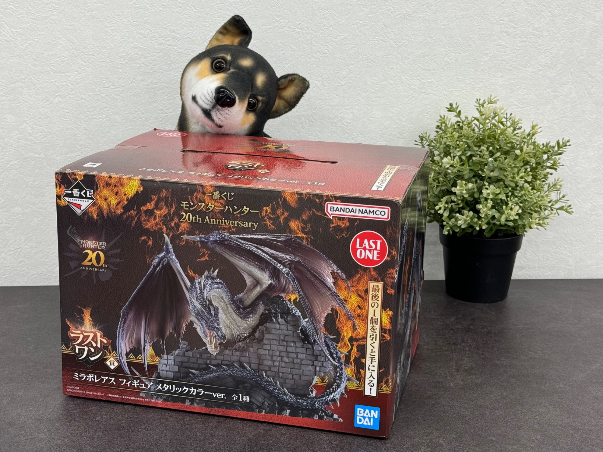 モンハンファン必見?ミラボレアスのフィギュアが入荷しました！｜2026