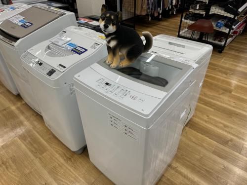 トレファクブログ画像4