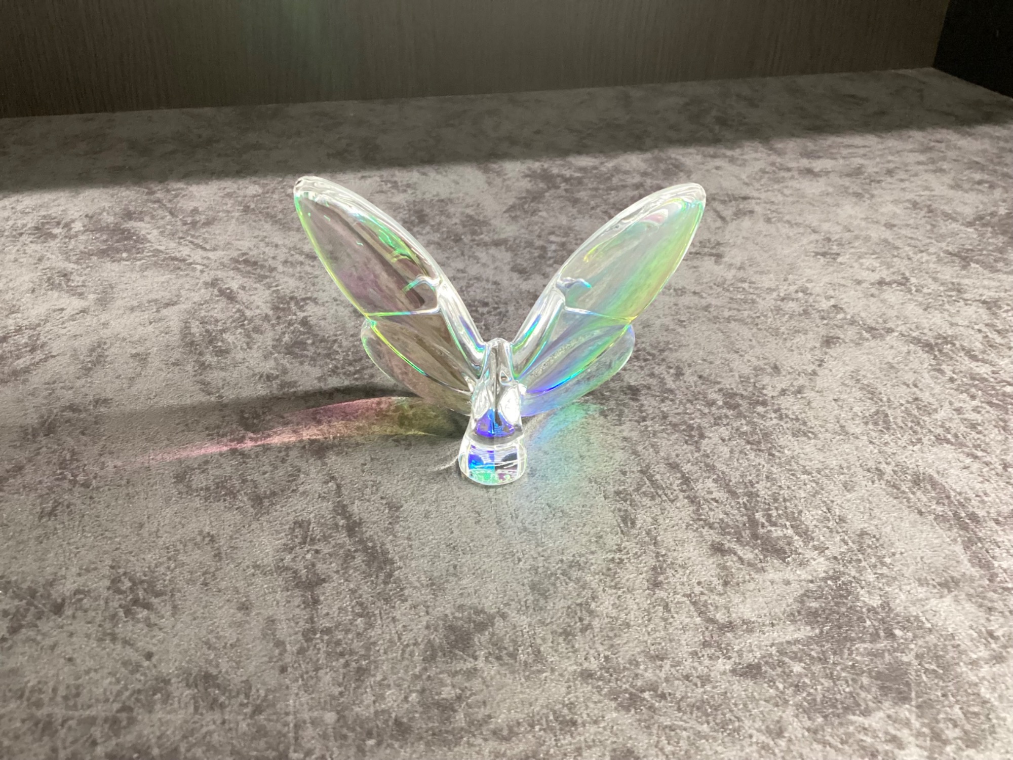 Baccarat (バカラ) ラッキーバタフライ】をご紹介！！｜2026年02月12日