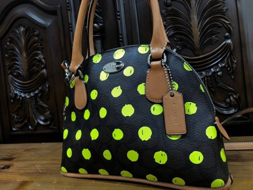 人気ブランドバッグ特集のCOACH コーチ