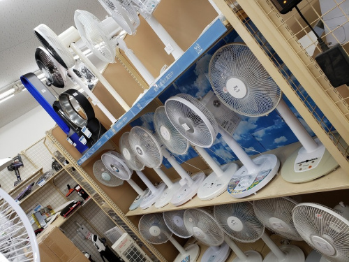 季節家電の扇風機