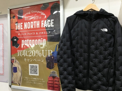 ダウンジャケットのTHE NORTH FACE