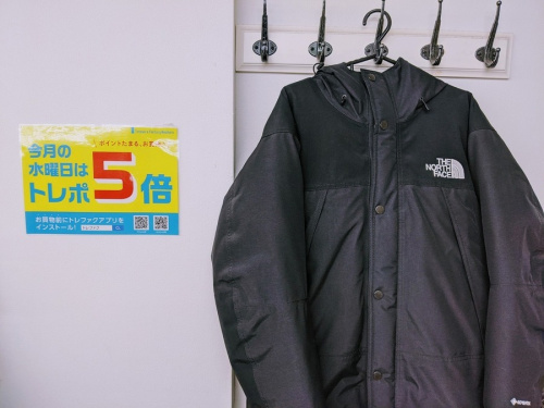 ダウンジャケットのTHE NORTH FACE