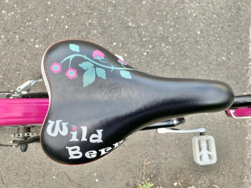新青梅街道の花小金井市 小平市 武蔵野市 田無市  杉並区