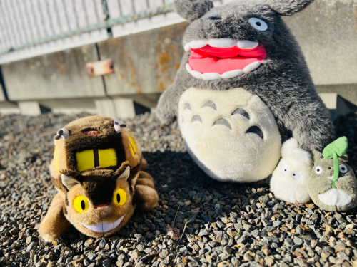 トレファクブログ画像1