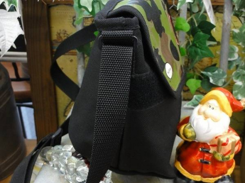 ブランドの芸能人