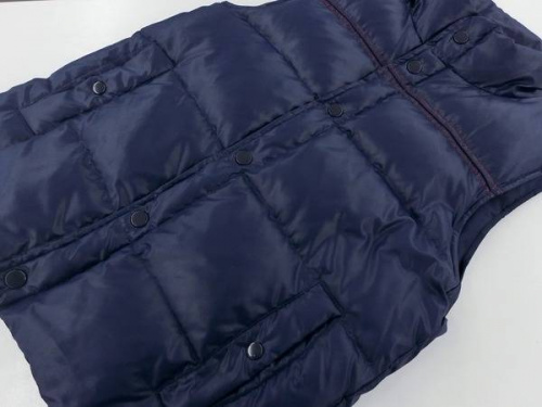 ベストのダウン