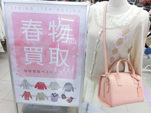 春物のカットソー