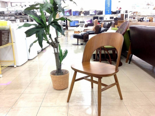 家具のイス
