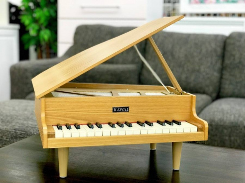 楽器のピアノ
