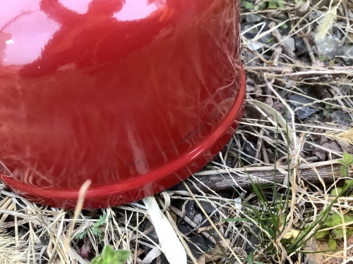 ランタンのColeman