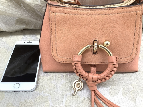 ミニ2WAYショルダーバッグのSEE BY CHLOE