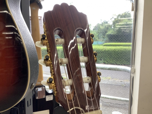 龍ヶ崎　ひたち野牛久　阿見　茎崎　みどりの　つくばみらい　守谷 　稲敷　利根　土浦　かすみがうら　神立　つくば　筑西　桜川　常総　アントニオ・ロペスの龍ヶ崎　ひたち野牛久　阿見　茎崎　みどりの　つくばみらい　守谷 　稲敷　利根　土浦　かすみがうら　神立　つくば　筑西　桜川　常総　中古ギター