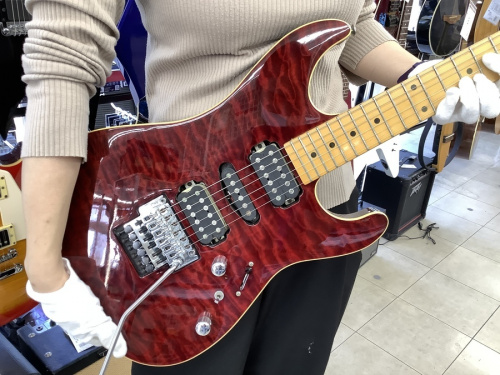 龍ヶ崎　ひたち野うしく　阿見　茎崎　みどりの　つくばみらい　守谷 　稲敷　利根　土浦　かすみがうら　神立　つくば　筑西　桜川　常総　SCHECTERの龍ヶ崎　ひたち野うしく　阿見　茎崎　みどりの　つくばみらい　守谷 　稲敷　利根　土浦　かすみがうら　神立　つくば　筑西　桜川　常総　シェクター