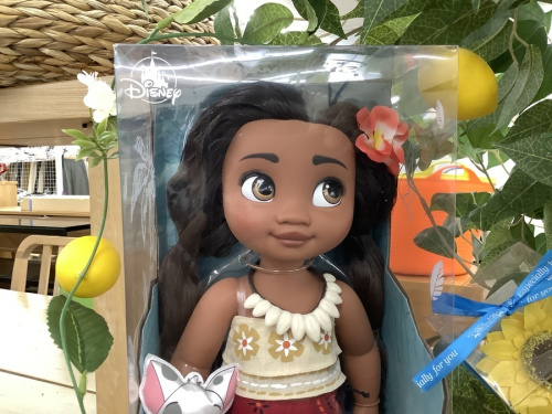 龍ヶ崎　ひたち野うしく　阿見　茎崎　みどりの　つくばみらい　守谷 　稲敷　利根　土浦　かすみがうら　神立　つくば　筑西　桜川　常総　ディズニーの龍ヶ崎　ひたち野うしく　阿見　茎崎　みどりの　つくばみらい　守谷 　稲敷　利根　土浦　かすみがうら　神立　つくば　筑西　桜川　常総　モアナ