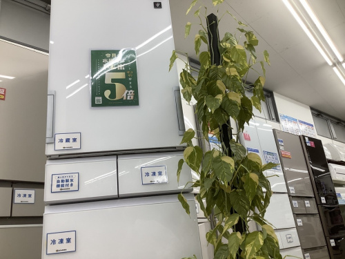 キッチン家電の冷蔵庫