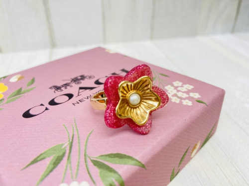 COACHのLOUIS VUITTON