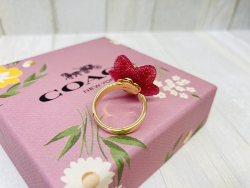 LOUIS VUITTONのHERMES