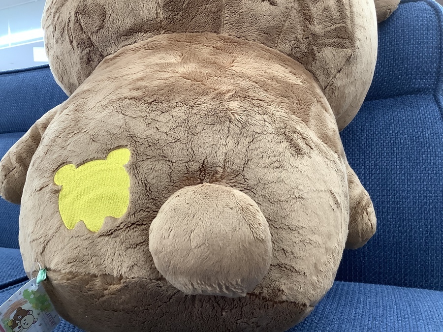 特大チャイロイコグマぬいぐるみ 入荷しました!【所沢店 特大チャイロイコグマぬいぐるみ 入荷しました!【所沢店