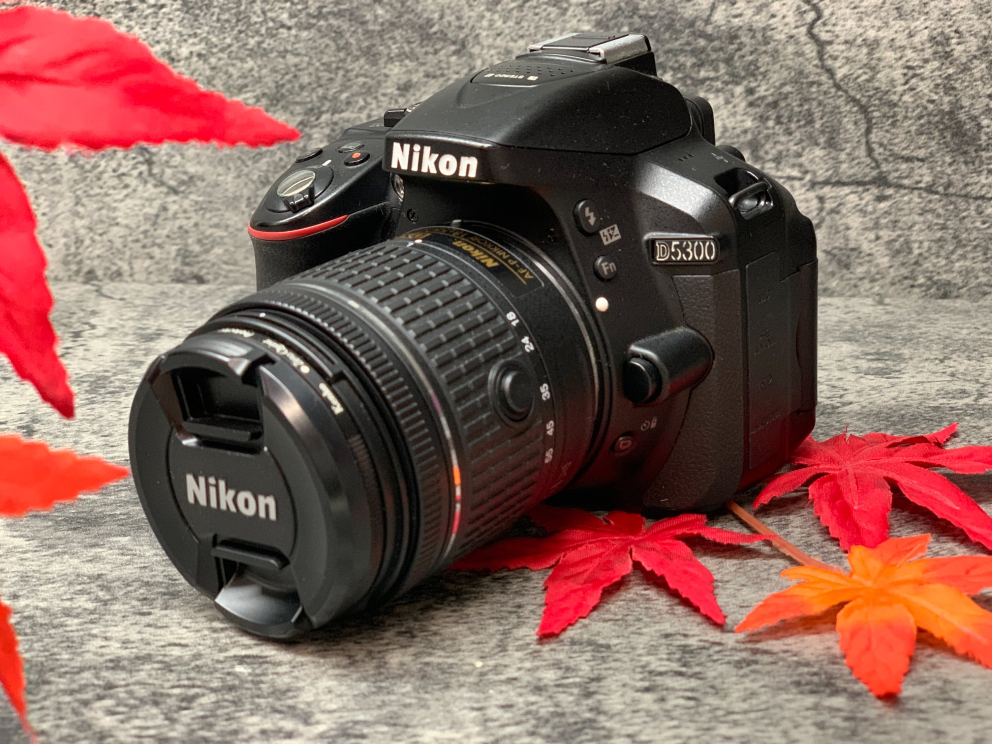 Nikon / ニコン】デジタル一眼レフカメラ D5300 ダブルズームレンズ