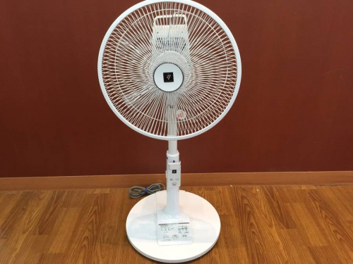 生活家電・家事家電の夏物家電