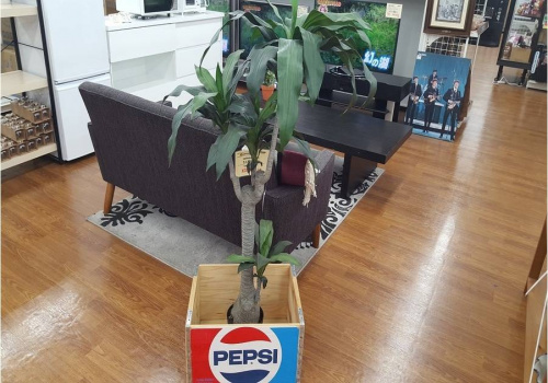 所沢インテリア