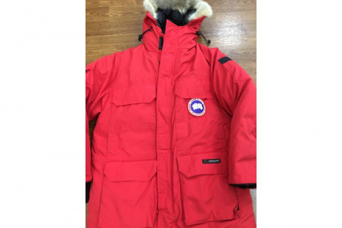 カナダグースの所沢