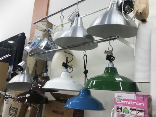 所沢店新入荷の所沢店