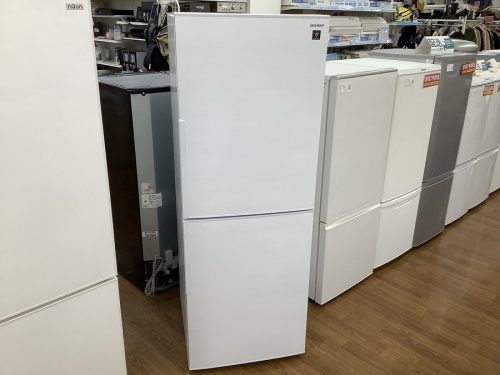 キッチン家電の冷蔵庫