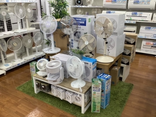 季節家電の扇風機