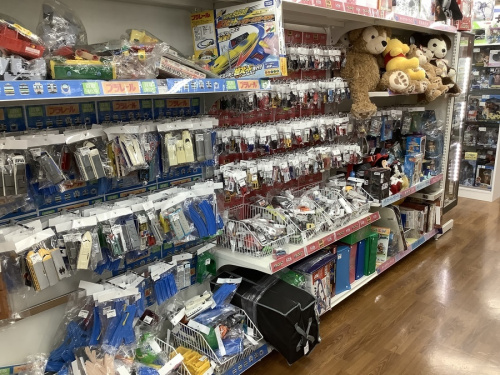 チャイロイコグマ