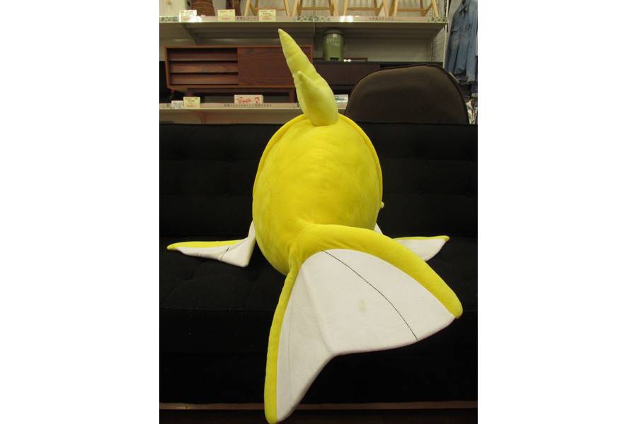 まさに王様！金のコイキングのビッグクッション入荷しました