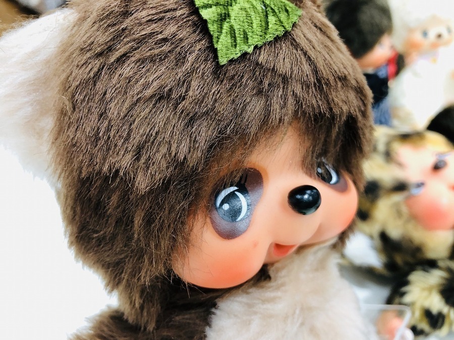 モンチッチ いっぱい入荷しました【千葉おゆみ野店】｜2019年10月24日