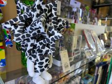 トレファクミスターマックスおゆみ野店ブログ