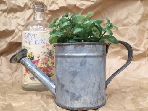 雑貨　買取のインテリア　中古