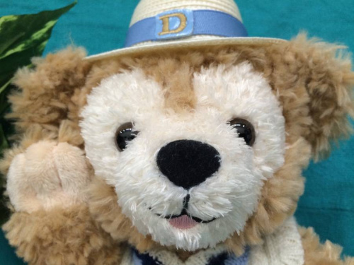 Disney　中古のDisney　買取