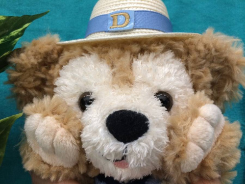 ディズニー　中古のディズニー　買取