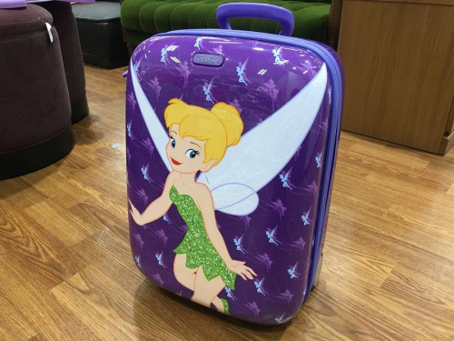 キャリーバッグのDisney