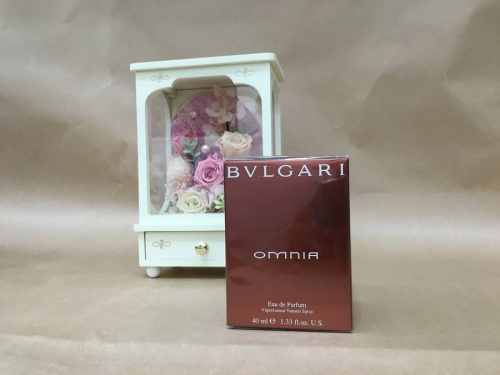 コレクターズキャンペーンのトレファク　キャンペーン