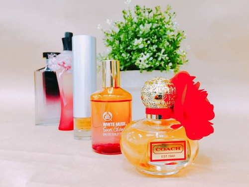 17年08月06日：画像１０