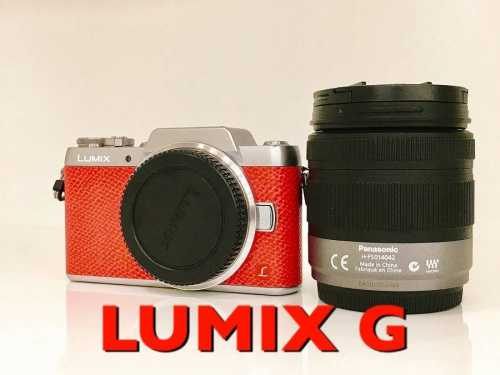 ｶﾒﾗのPanasonic