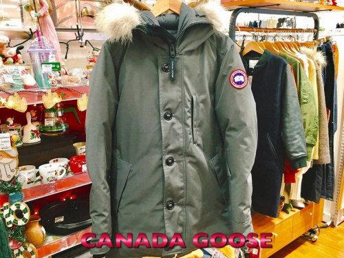 カナダグース(CANADA GOOSE)のダウン